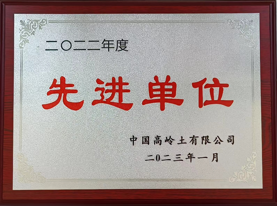 中国高岭土先进单位